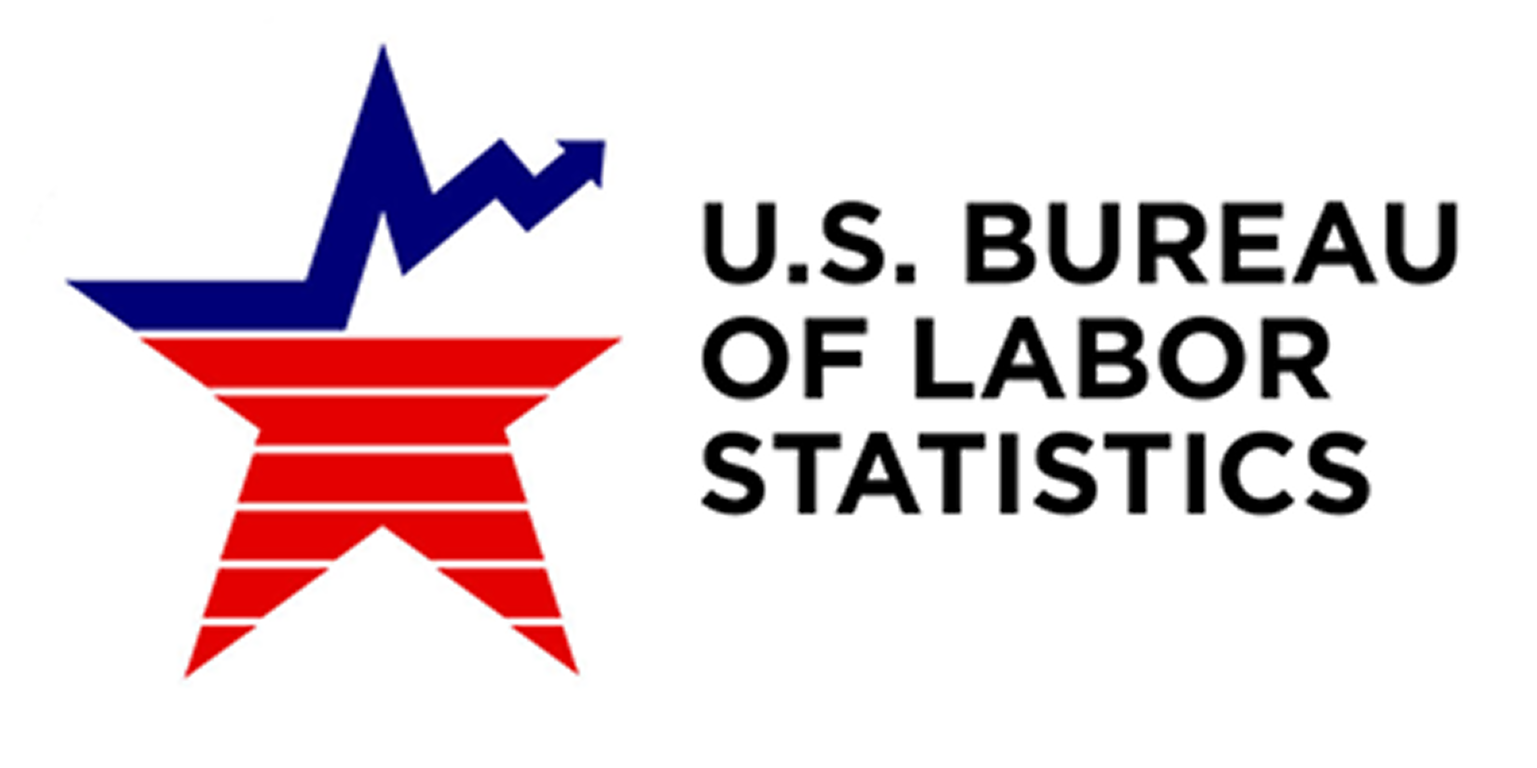 The Bureau of Labor Statistics - How it works cover