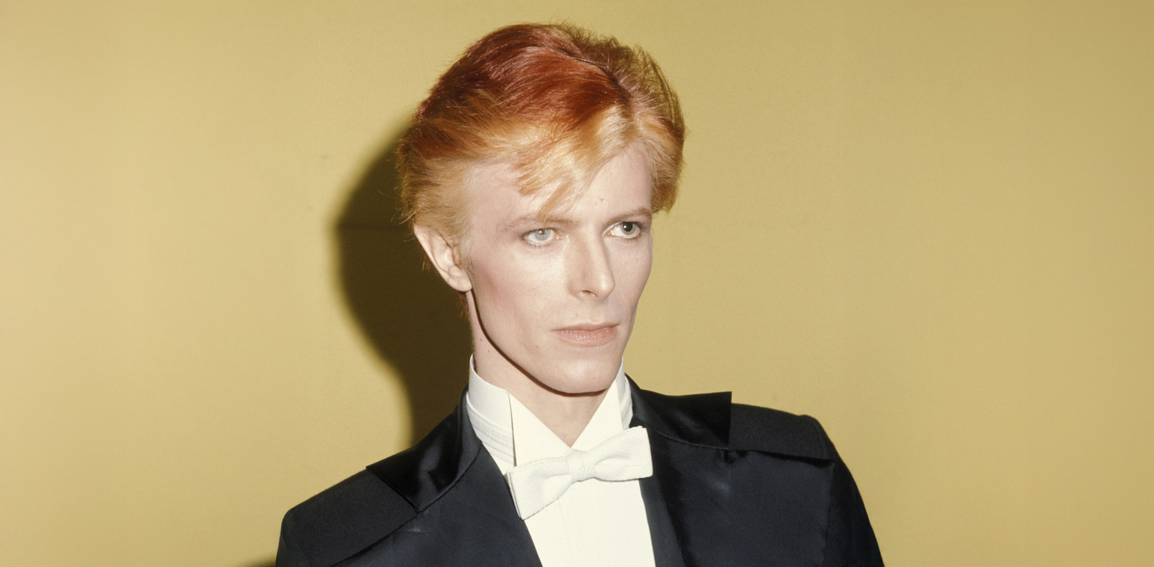 David Bowie interviews cover