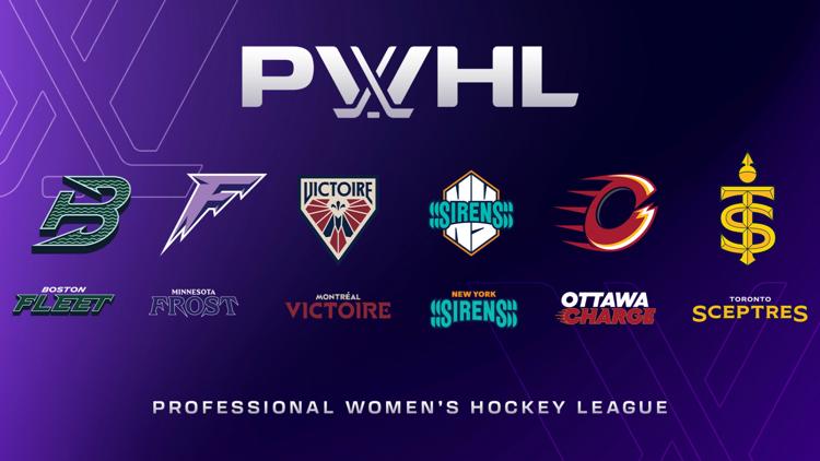 Cover image for The PWHL Handbook collection